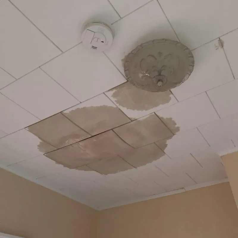 Ceiling Water Damage Repair in Roseville, OH