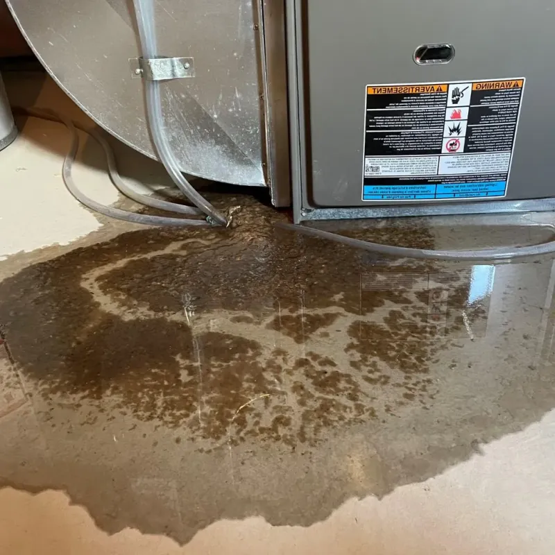 Pipe Burst and Leak Restoration in Roseville, OH
