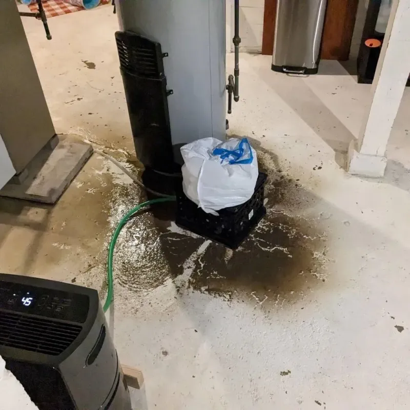 Sewage Backup Cleanup Service in Roseville, OH